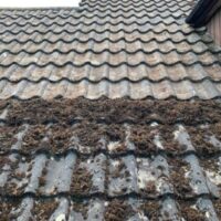 roof cleaners stoke on trent